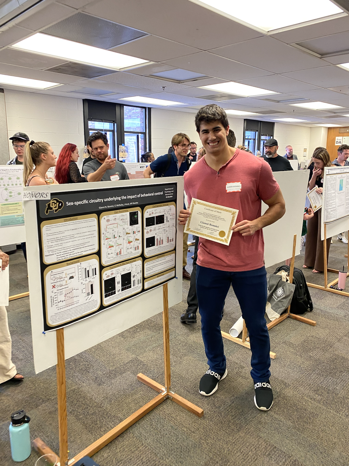 Brain fluorescent image 4