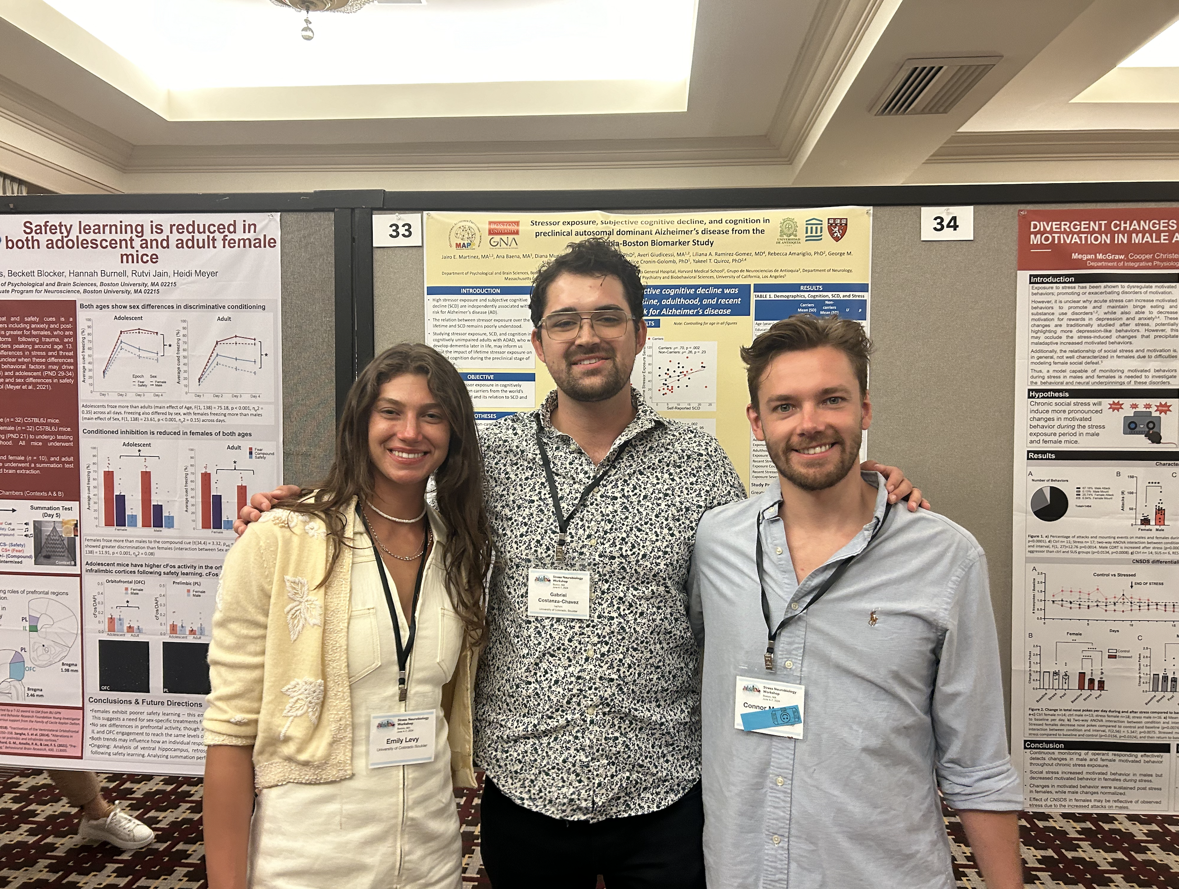 Brain fluorescent image 6